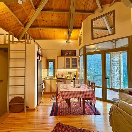 Nano With Fireplace And Next The Centre *