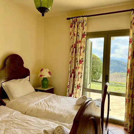 Nano With Fireplace And Next The Centre *