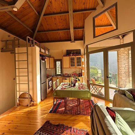 Nano With Fireplace And Next The Centre * Kalavryta