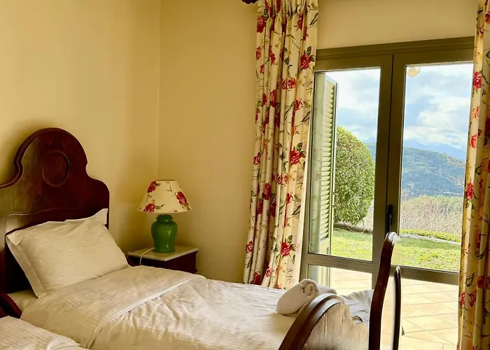 Nano With Fireplace And Next The Centre *