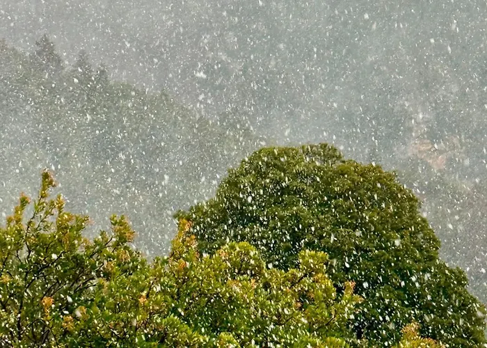 Nano With Fireplace And Next The Centre *